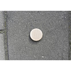 Pamětní dřevěná mince 30ks - javor masiv